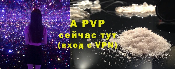 прущая мука Каменногорск