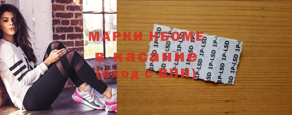 прущие грибы Касимов