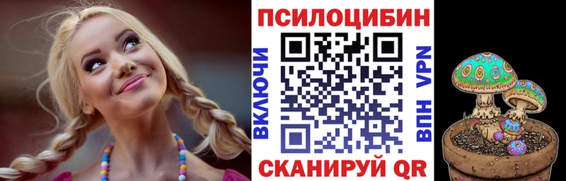 Купить где  Железноводск  Галлюциногенные грибы мицелий 